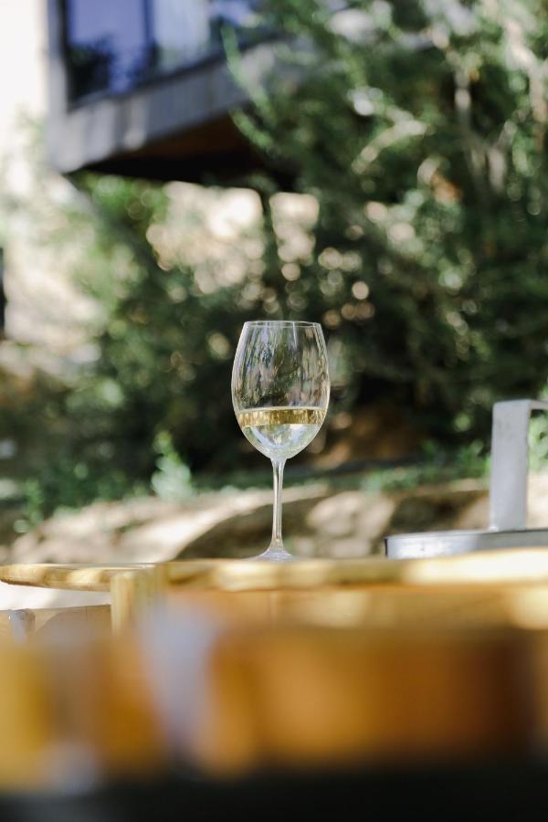 Milodge Elqui Domos Pisco Elqui Kültér fotó
